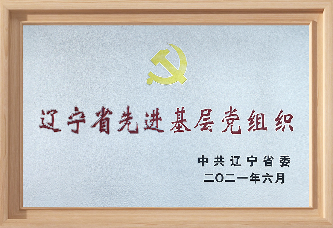 遼寧省先進(jìn)基層黨組織